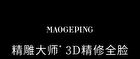 Maogeping 3D Light Contour Pressed Powder Palette - #801 - 18g