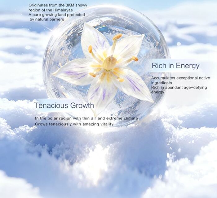 Maogeping Radiant Revitalizing Multi-Action Essence - 35ml