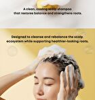 Nineless Root-Biome Caffeine Scalp Shampoo - 300ml