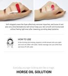 Horse Oil Foam Cleansing - 2026 Version - 150ml