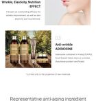 Snail Intensive Facial Care Eye Cream - 2026 Version - 40ml