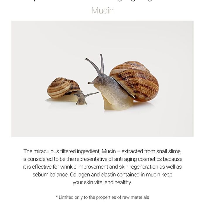 Snail Intensive Facial Care Eye Cream - 2026 Version - 40ml