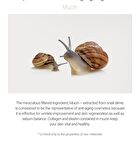 Snail Intensive Facial Care Eye Cream - 2026 Version - 40ml