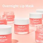 Nida Overnight Lip Mask - 20g