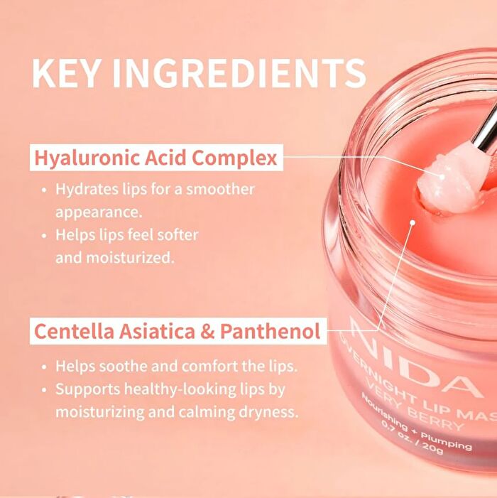 Nida Overnight Lip Mask - 20g