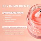 Nida Overnight Lip Mask - 20g