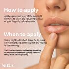 Nida Overnight Lip Mask - 20g