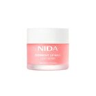 Nida Overnight Lip Mask - 20g