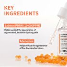 Nida Salmon PDRN Peptide Serum - 50ml