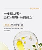 Radiant and Plumping Lip Essence - 2 Types - 01# Colorless - 3g