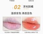 Radiant and Plumping Lip Essence - 2 Types - 01# Colorless - 3g
