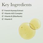 Holy Hyssop Sheet Mask - 27ml x 1 sheet