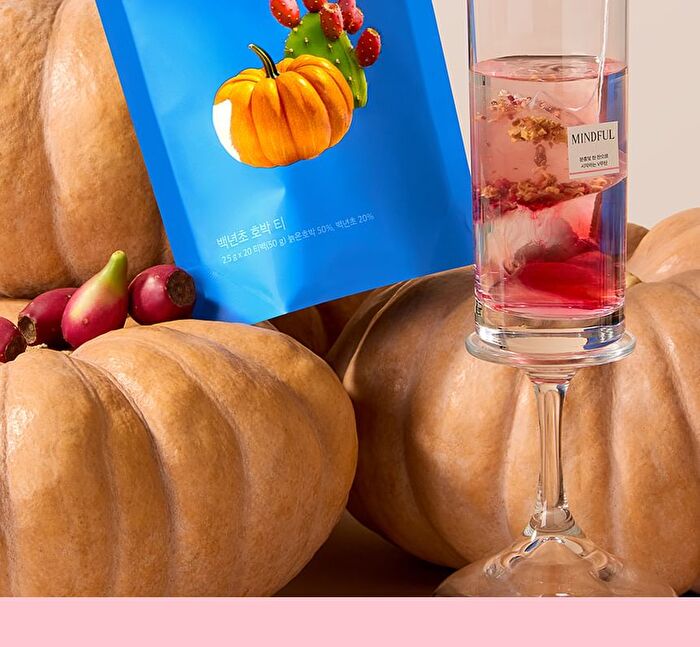 Foodology Prickly Pear & Pumpkin Tea - 2.5g x 20 packets