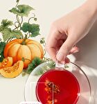 Foodology Prickly Pear & Pumpkin Tea - 2.5g x 20 packets