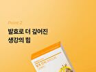 Foodology Fermented Ginger Crispy - 2000mg x 20 sticks