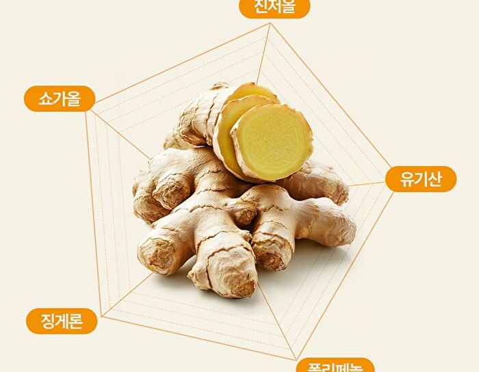 Foodology Fermented Ginger Crispy - 2000mg x 20 sticks