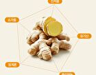 Foodology Fermented Ginger Crispy - 2000mg x 20 sticks