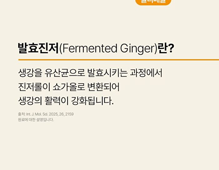 Foodology Fermented Ginger Crispy - 2000mg x 20 sticks