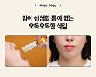 Foodology Fermented Ginger Crispy - 2000mg x 20 sticks