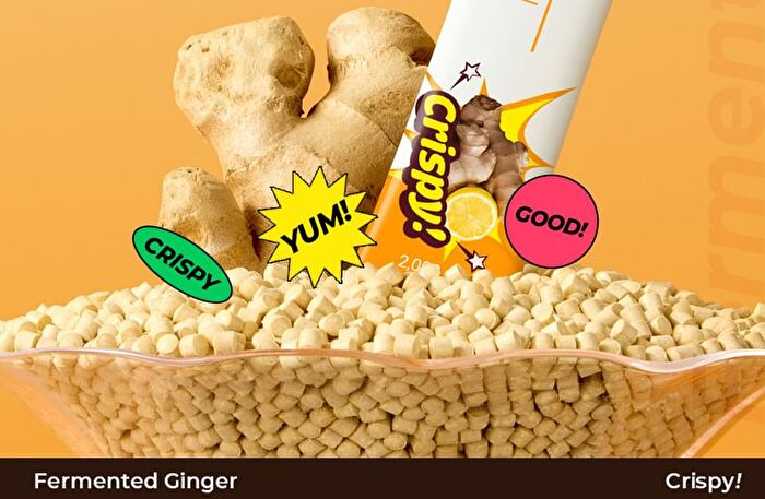 Foodology Fermented Ginger Crispy - 2000mg x 20 sticks