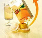 Foodology ACV Cleanse Shot - 3 Types - Yuzu