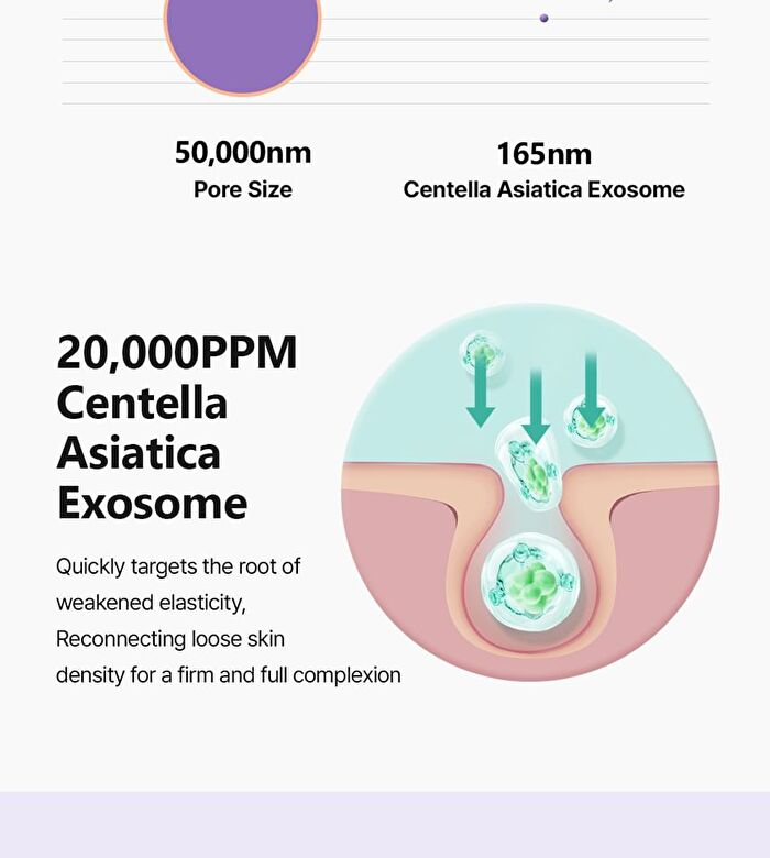 Maxclinic Exosome PDRN Lift Cream - 50ml
