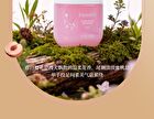 Collagen Vitamin C Rejuvenating Gel Hand Cream - 3 Flavors - Chamomile - 200ml