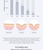 Premium Collagen Multi Stick - 2026 Version - 10g