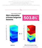 Green Tangerine Vita C E TXA Serum - 30ml