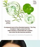 Cica-Tree Cooling Sun Stick - 19g