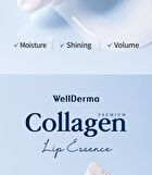 Premium Collagen Lip Essence - 11ml