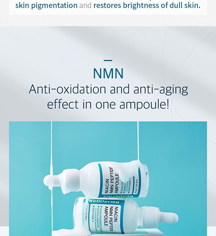 Niacin NMN Peptide Ampoule - 30ml