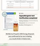 Propolis 1000 Energy Ampoule - 50ml