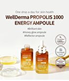 Propolis 1000 Energy Ampoule - 50ml