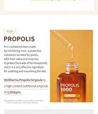 Propolis 1000 Energy Ampoule - 50ml