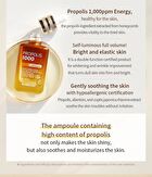 Propolis 1000 Energy Ampoule - 50ml
