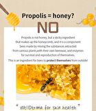 Propolis 1000 Energy Ampoule - 50ml