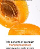 I\'m from Apricot Clear Sun Serum - 50ml