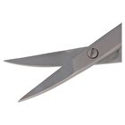 Curved Nail Scissors - Silver