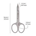 Precision Nail Scissors with Pointed Tip - Silver