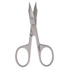 Precision Nail Scissors with Pointed Tip - Silver