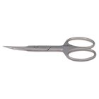 Precision Nail Scissors with Pointed Tip - Silver