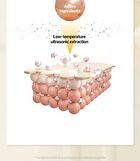 Skin Barrier Calming Lotion EX Sachet Set - 2026 Version - 4ml x 5 pcs