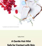 Heat Proof Hair Mist - 2 Types - #01 Lowkey Famous