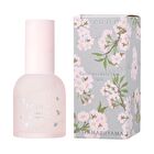 Sakura Collection 2026 Dream Flora Booster Serum - 55ml