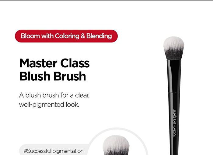 Jung Saem Mool Masterclass Blush Brush - 1 pc