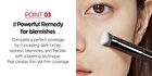 Jung Saem Mool Masterclass Corrector Brush - 1 pc