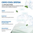 Vt Cryo Ice Mask - 30 sheets
