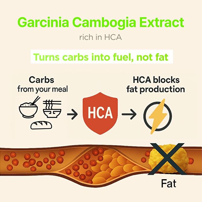Garcinia - 4 Types - Shine Muscat