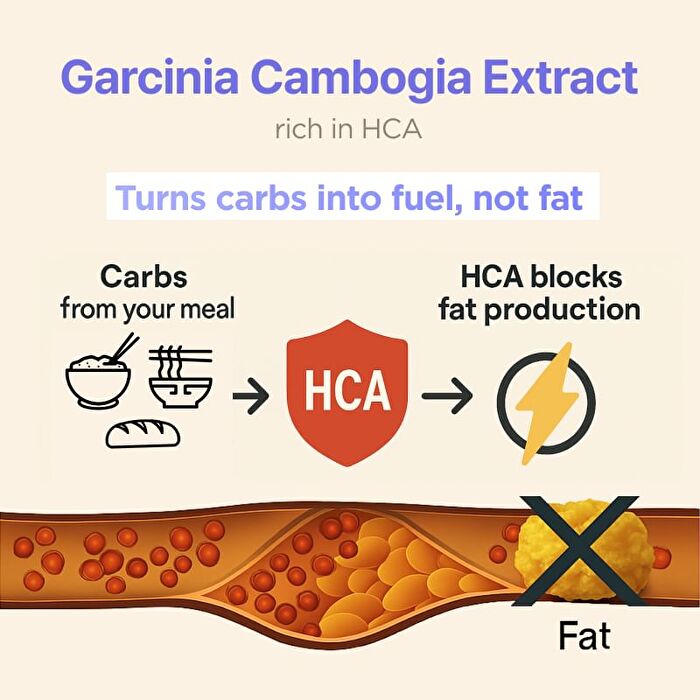 Garcinia - 4 Types - Blueberry